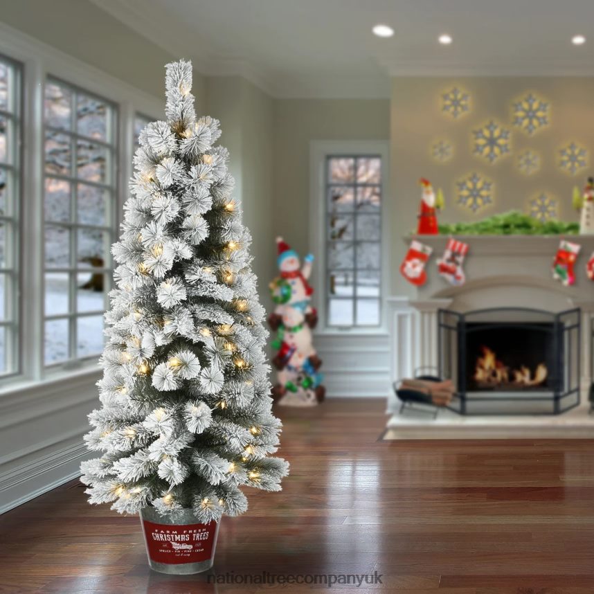 Trees | National Tree Company Pre-Lit Artificial Christmas Entrance Tree Snowy Pogue Pine with Warm White LED Lights Plug in 5 ft F2L4F169